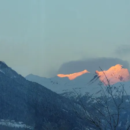Ferienfuchs Gundersheim
