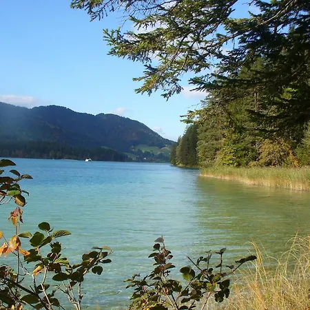 Ferienfuchs * Gundersheim