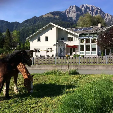 Ferienfuchs *