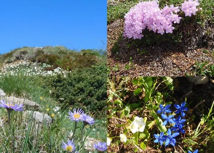 Ferienfuchs 別荘 *