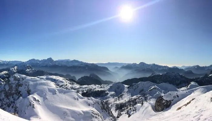 Ferienfuchs Gundersheim