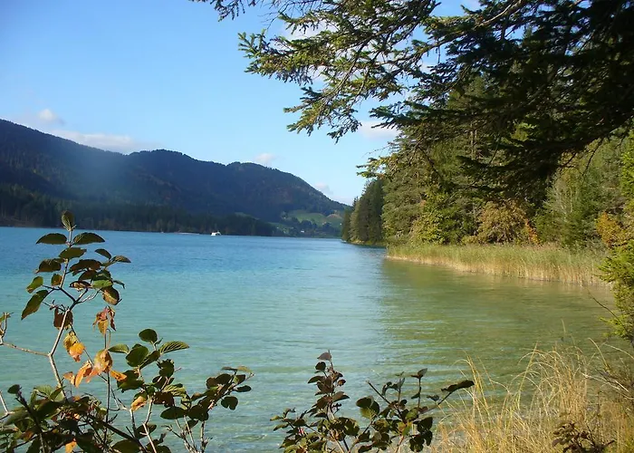 Ferienfuchs * グンダースハイム